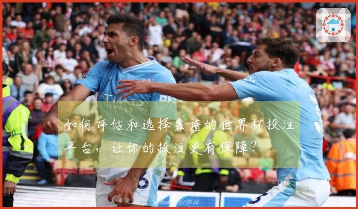 如何评估和选择靠谱的世界杯投注平台，让你的投注更有保障？