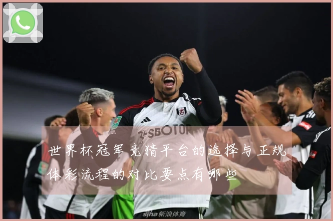 世界杯冠军竞猜平台的选择与正规体彩流程的对比要点有哪些